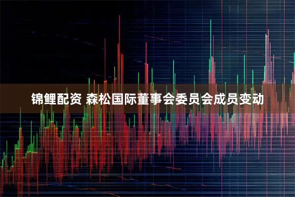锦鲤配资 森松国际董事会委员会成员变动