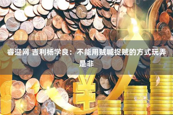 睿迎网 吉利杨学良：不能用贼喊捉贼的方式玩弄是非