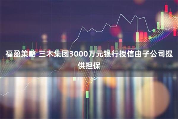 福盈策略 三木集团3000万元银行授信由子公司提供担保