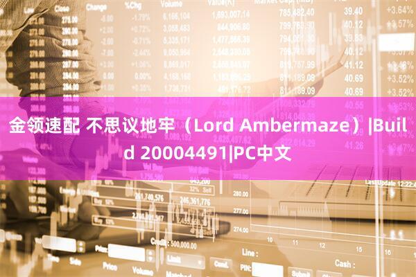 金领速配 不思议地牢（Lord Ambermaze）|Build 20004491|PC中文