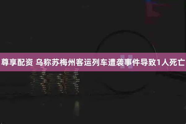 尊享配资 乌称苏梅州客运列车遭袭事件导致1人死亡