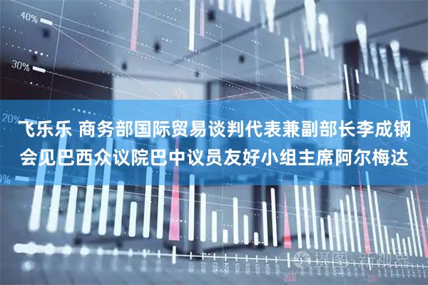 飞乐乐 商务部国际贸易谈判代表兼副部长李成钢会见巴西众议院巴中议员友好小组主席阿尔梅达