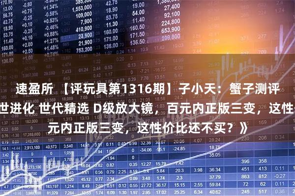 速盈所 【评玩具第1316期】子小天：蟹子测评《变形金刚 传世进化 世代精选 D级放大镜，百元内正版三变，这性价比还不买？》