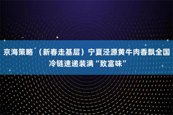 京海策略 （新春走基层）宁夏泾源黄牛肉香飘全国 冷链速递装满“致富味”
