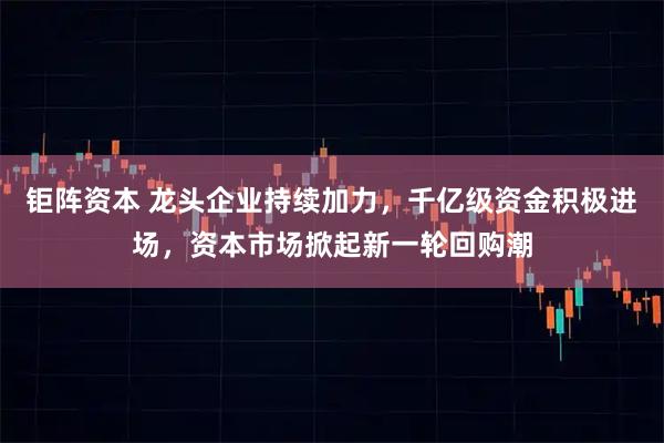 钜阵资本 龙头企业持续加力，千亿级资金积极进场，资本市场掀起新一轮回购潮