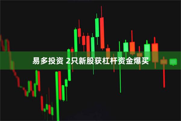 易多投资 2只新股获杠杆资金爆买