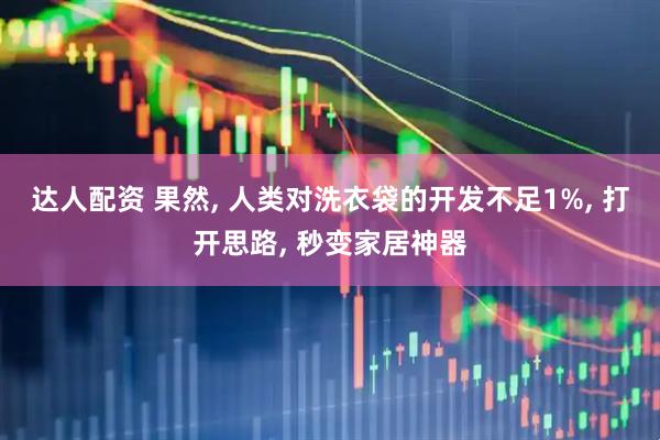 达人配资 果然, 人类对洗衣袋的开发不足1%, 打开思路, 秒变家居神器